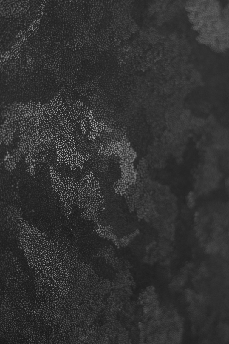 Black Goddess / White Entities - 15